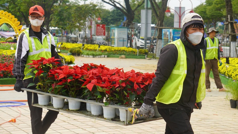 Lộ diện linh vật rắn tại đường hoa Tết Đ&agrave; Nẵng- Ảnh 11.