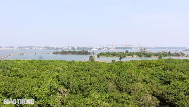 Cận cảnh công trình cầu dài 2,3km qua cửa biển ở Huế sắp hợp long- Ảnh 4. Cận cảnh công trình cầu dài 2,3km qua cửa biển ở Huế sắp hợp long- Ảnh 4.