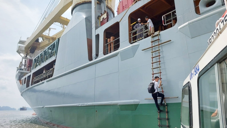 Sửa quy định về chứng chỉ chuy&ecirc;n m&ocirc;n hoa ti&ecirc;u h&agrave;ng hải- Ảnh 1.