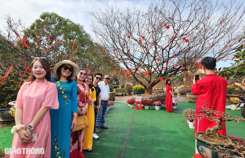 Người d&acirc;n th&iacute;ch th&uacute; tạo d&aacute;ng dưới gốc mai gi&agrave; được rao b&aacute;n 3 tỷ- Ảnh 1.