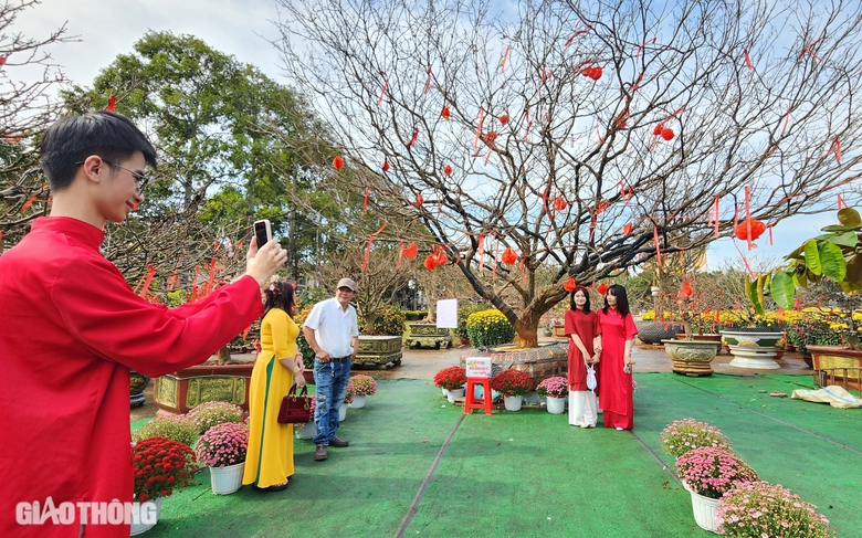Người d&acirc;n th&iacute;ch th&uacute; tạo d&aacute;ng dưới gốc mai gi&agrave; được rao b&aacute;n 3 tỷ- Ảnh 3.