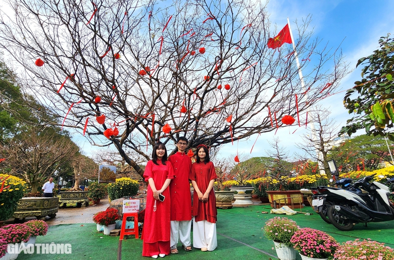 Người d&acirc;n th&iacute;ch th&uacute; tạo d&aacute;ng dưới gốc mai gi&agrave; được rao b&aacute;n 3 tỷ- Ảnh 4.