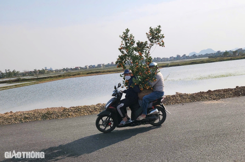 Xuân vui đầu tiên trên tuyến đường hơn 3.700 tỷ đồng ở Hà Nam- Ảnh 15. Xuân vui đầu tiên trên tuyến đường hơn 3.700 tỷ đồng ở Hà Nam- Ảnh 15.