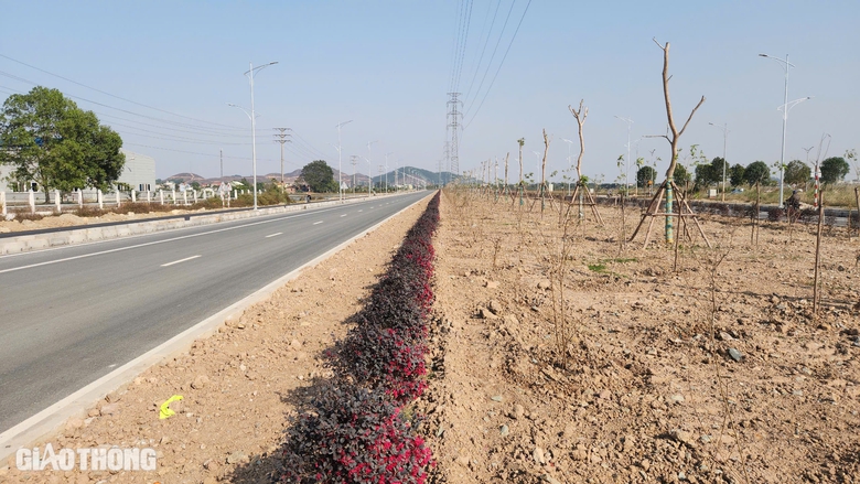 Xuân vui đầu tiên trên tuyến đường hơn 3.700 tỷ đồng ở Hà Nam- Ảnh 14. Xuân vui đầu tiên trên tuyến đường hơn 3.700 tỷ đồng ở Hà Nam- Ảnh 14.