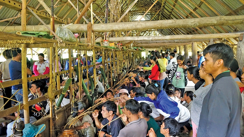 Ăn Tết con dúi giữa đại ngàn Tây Nguyên- Ảnh 2. Ăn Tết con dúi giữa đại ngàn Tây Nguyên- Ảnh 2.