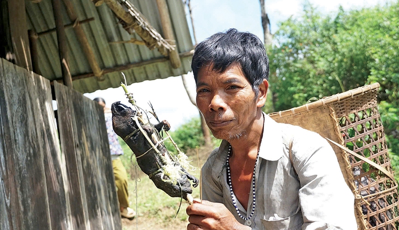 Ăn Tết con dúi giữa đại ngàn Tây Nguyên- Ảnh 1. Ăn Tết con dúi giữa đại ngàn Tây Nguyên- Ảnh 1.