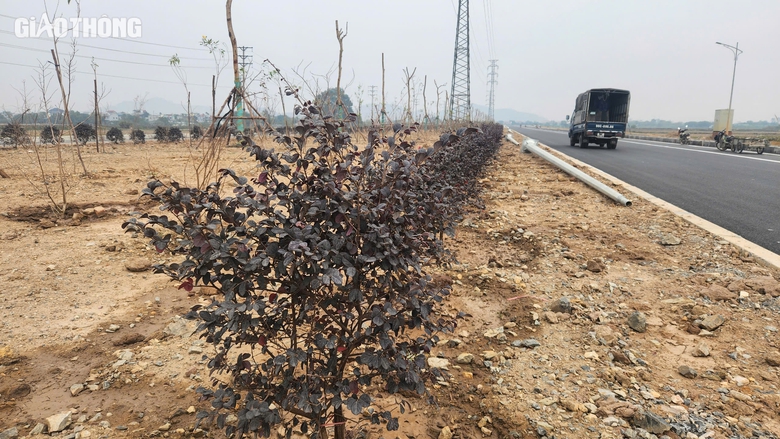 Nỗ lực thông tuyến hành lang Đông Tây 3.600 tỷ ở Hà Nam trước tết Nguyên đán- Ảnh 4. Nỗ lực thông tuyến hành lang Đông Tây 3.600 tỷ ở Hà Nam trước tết Nguyên đán- Ảnh 4.