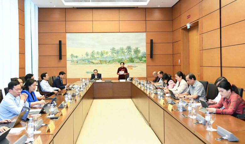 Chủ tịch Quốc hội lưu &yacute; 5 nh&oacute;m nội dung khi ho&agrave;n thiện Luật Ph&aacute; sản (sửa đổi)- Ảnh 2.