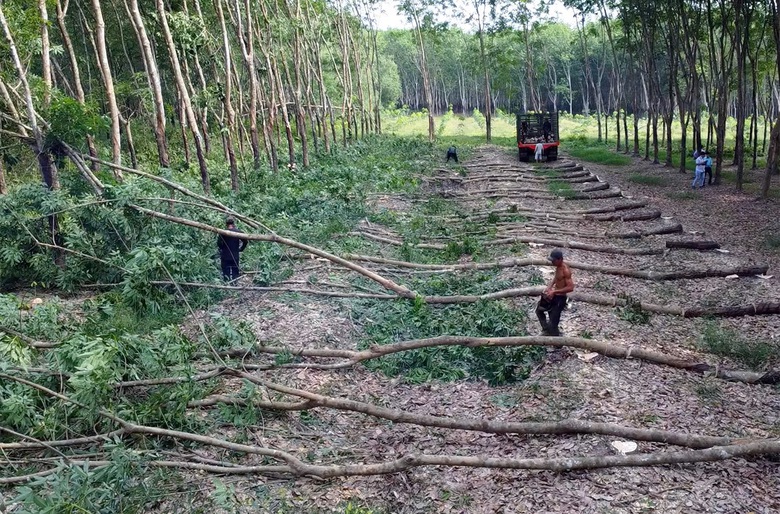 Đồng Nai nỗ lực ho&agrave;n th&agrave;nh GPMB cao tốc Gia Nghĩa - Chơn Th&agrave;nh v&agrave;o th&aacute;ng 12- Ảnh 1.