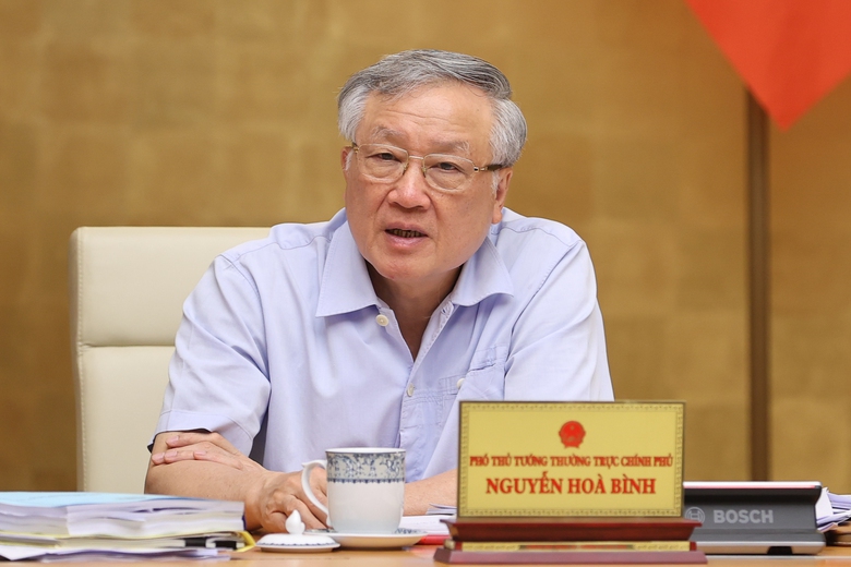 Ph&acirc;n c&ocirc;ng c&ocirc;ng t&aacute;c của Thủ tướng v&agrave; c&aacute;c Ph&oacute; thủ tướng- Ảnh 2.