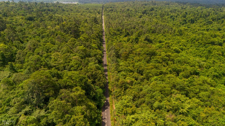 Kiểm tra thực địa vị trí được đề xuất khôi phục cầu Mã Đà kết nối Đồng Nai với Bình Phước- Ảnh 2. Kiểm tra thực địa vị trí được đề xuất khôi phục cầu Mã Đà kết nối Đồng Nai với Bình Phước- Ảnh 2.