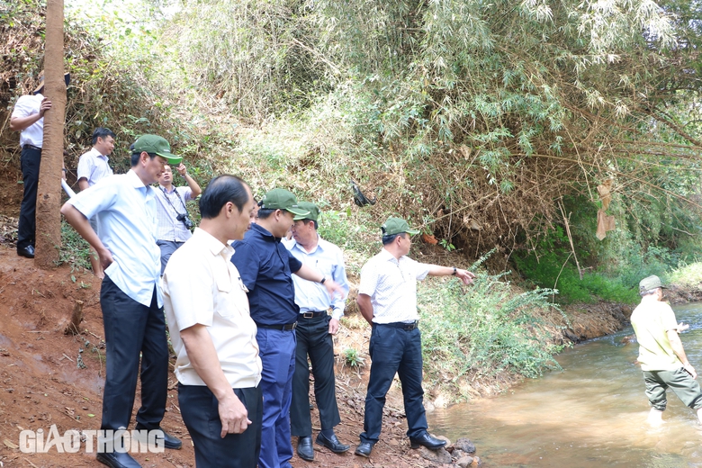 Kiểm tra thực địa vị trí được đề xuất khôi phục cầu Mã Đà kết nối Đồng Nai với Bình Phước- Ảnh 1. Kiểm tra thực địa vị trí được đề xuất khôi phục cầu Mã Đà kết nối Đồng Nai với Bình Phước- Ảnh 1.
