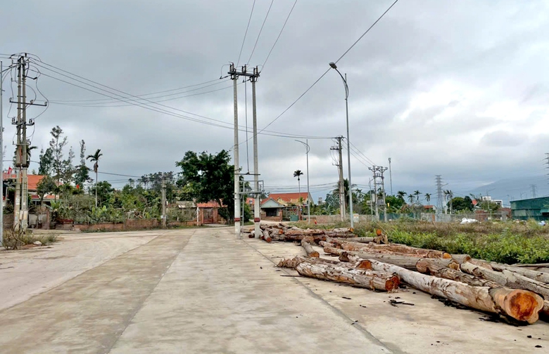 Quảng Ninh: Loạt cột điện &aacute;n ngữ nhiều tuyến đường mới mở- Ảnh 2.