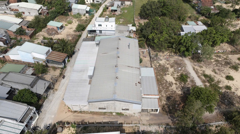 Bình Định: Dân tố “ngạt thở” vì mùi hôi từ xưởng chế biến mực, chính quyền vào cuộc- Ảnh 1. Bình Định: Dân tố “ngạt thở” vì mùi hôi từ xưởng chế biến mực, chính quyền vào cuộc- Ảnh 1.