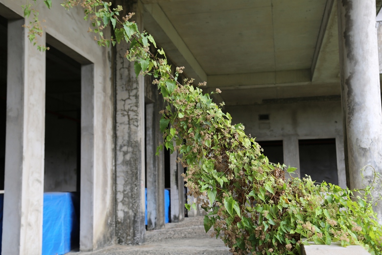 Bố tr&iacute; 1.300 tỷ đồng khởi động lại Bệnh viện Ung bướu Cần Thơ sau nhiều năm "đắp chiếu"- Ảnh 4.