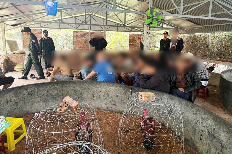 Khởi tố 9 người tham gia đ&aacute;nh bạc, tổ chức đ&aacute;nh bạc bằng h&igrave;nh thức c&aacute; cược đ&aacute; g&agrave;- Ảnh 1.