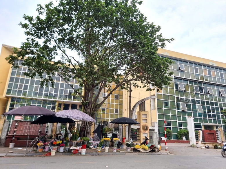 Loạt trụ sở bỏ hoang tr&ecirc;n đất v&agrave;ng quận H&agrave; Đ&ocirc;ng sẽ được xử l&yacute; ra sao?- Ảnh 4.