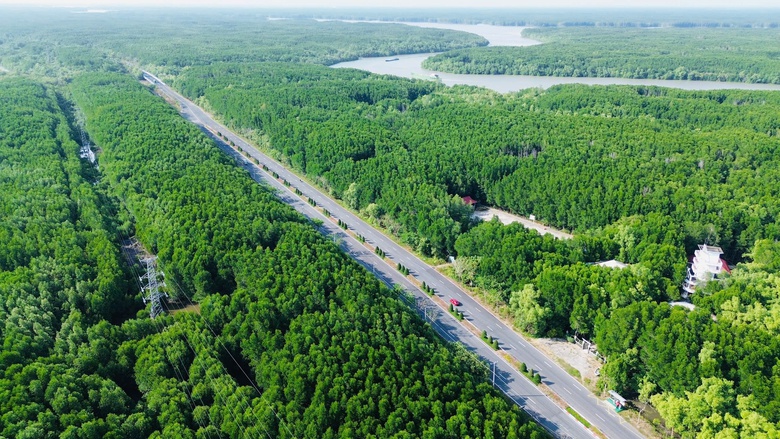 TP.HCM th&agrave;nh lập Hội đồng thẩm định dự &aacute;n tuyến metro kết nối trung t&acirc;m với Cần Giờ- Ảnh 1.