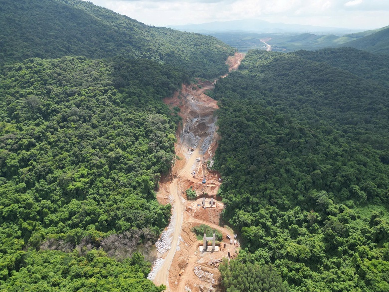 B&igrave;nh Định chuyển đổi gần 96ha đất rừng, &ldquo;gỡ n&uacute;t thắt&rdquo; cho c&aacute;c dự &aacute;n trọng điểm- Ảnh 1.