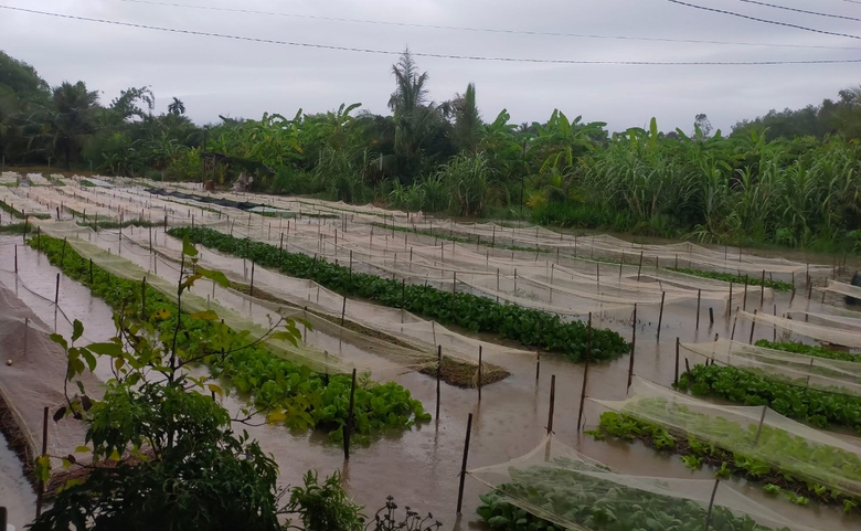 Mưa như trút, nhiều tuyến đường ngập sâu, ùn tắc, người đi xe máy ngã nhoài- Ảnh 7. Mưa như trút, nhiều tuyến đường ngập sâu, ùn tắc, người đi xe máy ngã nhoài- Ảnh 7.