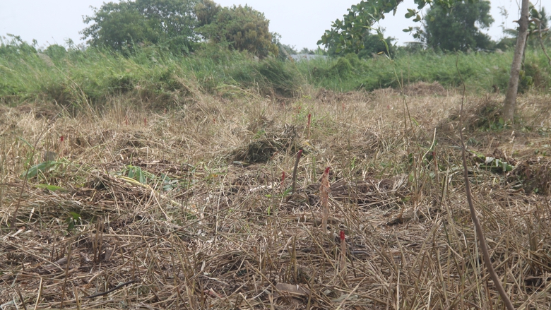 Dự &aacute;n mở rộng, n&acirc;ng cấp Cảng h&agrave;ng kh&ocirc;ng C&agrave; Mau gặp kh&oacute; về vật liệu- Ảnh 2.