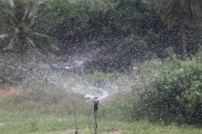 Bình Định: "Hồi sinh" trạm bơm bỏ hoang nhiều năm, nước về tận chân ruộng- Ảnh 6. Bình Định: "Hồi sinh" trạm bơm bỏ hoang nhiều năm, nước về tận chân ruộng- Ảnh 6.