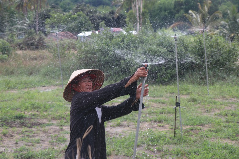 Bình Định: "Hồi sinh" trạm bơm bỏ hoang nhiều năm, nước về tận chân ruộng- Ảnh 1. Bình Định: "Hồi sinh" trạm bơm bỏ hoang nhiều năm, nước về tận chân ruộng- Ảnh 1.