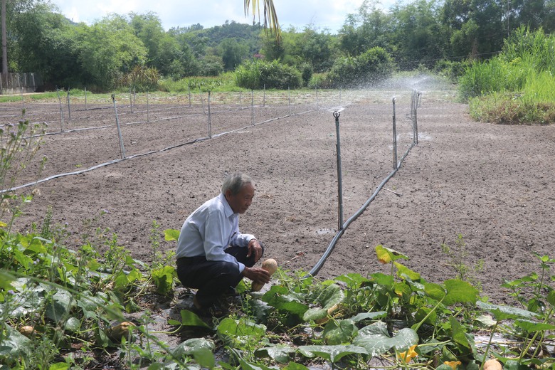 Bình Định: "Hồi sinh" trạm bơm bỏ hoang nhiều năm, nước về tận chân ruộng- Ảnh 5. Bình Định: "Hồi sinh" trạm bơm bỏ hoang nhiều năm, nước về tận chân ruộng- Ảnh 5.