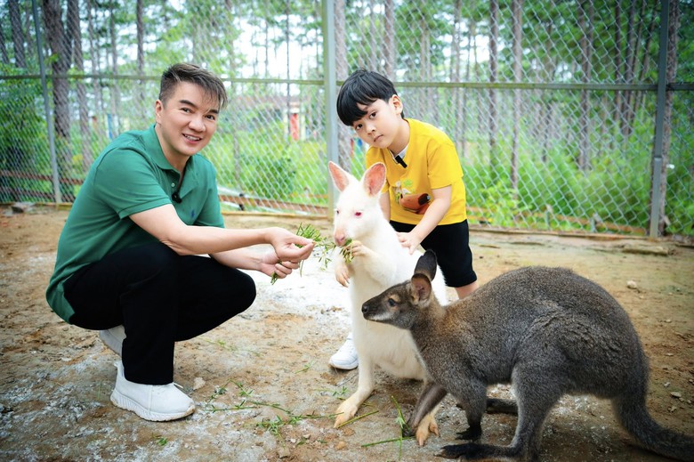 Đ&agrave;m Vĩnh Hưng: T&ocirc;i kh&ocirc;ng gi&agrave;u, phải vay nợ để mua đất x&acirc;y nh&agrave; mới- Ảnh 2.