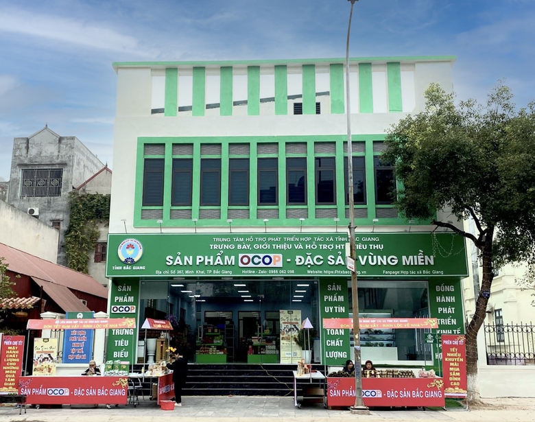 Bắc Giang: Tăng cường kết nối sản xuất với thị trường th&ocirc;ng qua 16 điểm b&aacute;n sản phẩm OCOP- Ảnh 1.