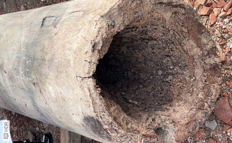 Hơn 14,6 tỷ đồng tu bổ, t&ocirc;n tạo đ&igrave;nh Đ&ocirc; Mỹ ở Thanh H&oacute;a- Ảnh 5.