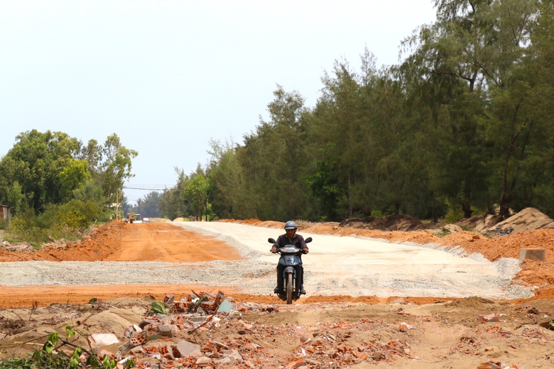 Chuyển mục đ&iacute;ch sử dụng đất rừng để l&agrave;m đường ven biển Dung Quất - Sa Huỳnh- Ảnh 2.