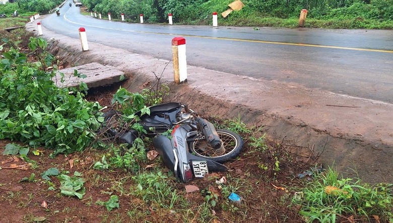 Gia Lai: Hai b&eacute; g&aacute;i tử vong b&ecirc;n vệ đường- Ảnh 1.