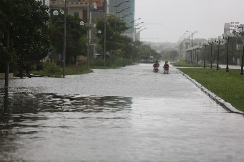 B&atilde;o số 5 quần thảo Nghệ An, đường phố Cửa L&ograve; ngập s&acirc;u, nhiều c&acirc;y xanh g&atilde;y đổ- Ảnh 18.