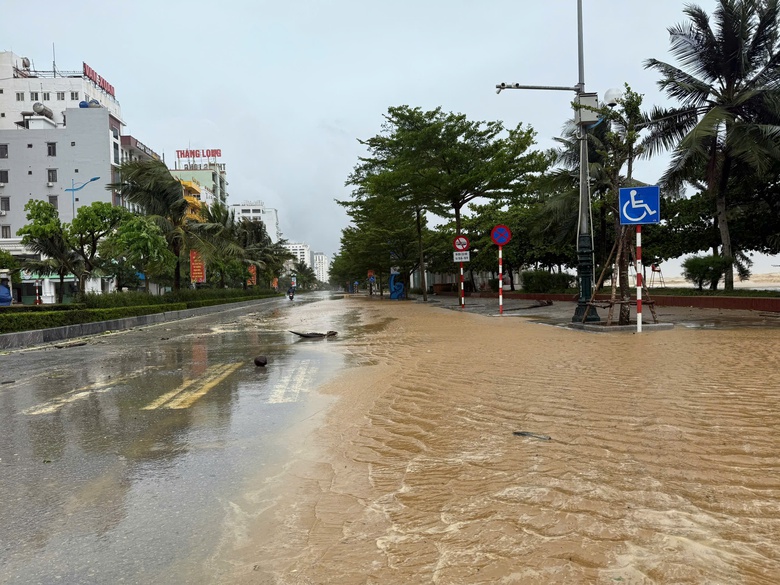 B&atilde;o số 5 quần thảo Nghệ An, đường phố Cửa L&ograve; ngập s&acirc;u, nhiều c&acirc;y xanh g&atilde;y đổ- Ảnh 17.