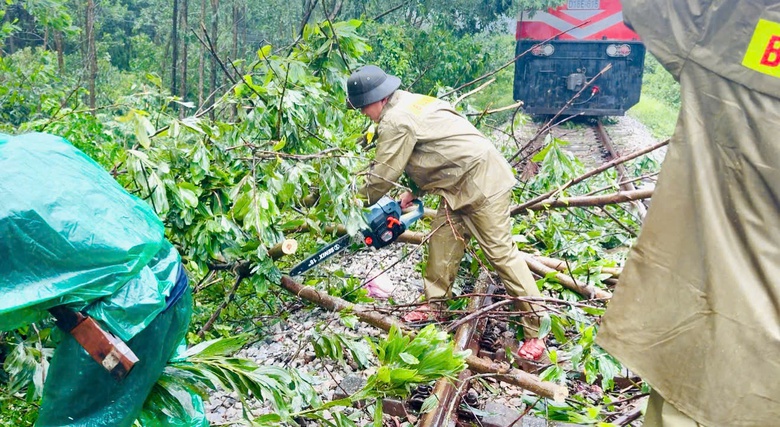 B&atilde;o số 5 quần thảo Nghệ An, đường phố Cửa L&ograve; ngập s&acirc;u, nhiều c&acirc;y xanh g&atilde;y đổ- Ảnh 21.