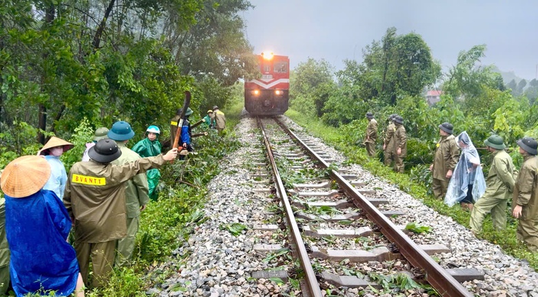 B&atilde;o số 5 quần thảo Nghệ An, đường phố Cửa L&ograve; ngập s&acirc;u, nhiều c&acirc;y xanh g&atilde;y đổ- Ảnh 22.
