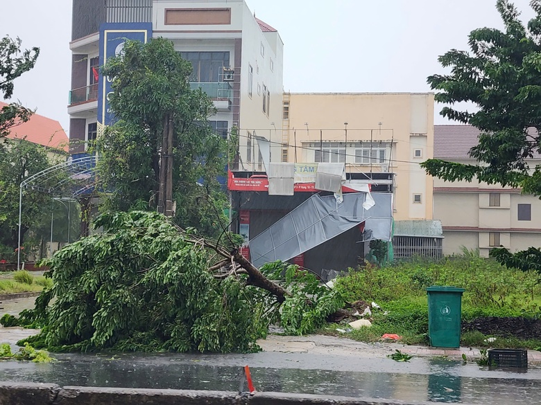 B&atilde;o số 5 quần thảo Nghệ An, đường phố Cửa L&ograve; ngập s&acirc;u, nhiều c&acirc;y xanh g&atilde;y đổ- Ảnh 24.