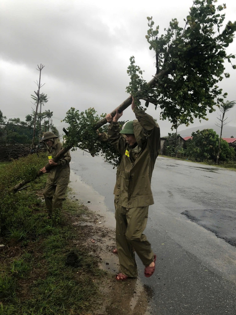 B&atilde;o số 5 quần thảo Nghệ An, đường phố Cửa L&ograve; ngập s&acirc;u, nhiều c&acirc;y xanh g&atilde;y đổ- Ảnh 34.
