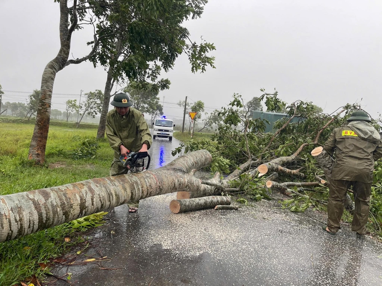 B&atilde;o số 5 quần thảo Nghệ An, đường phố Cửa L&ograve; ngập s&acirc;u, nhiều c&acirc;y xanh g&atilde;y đổ- Ảnh 12.
