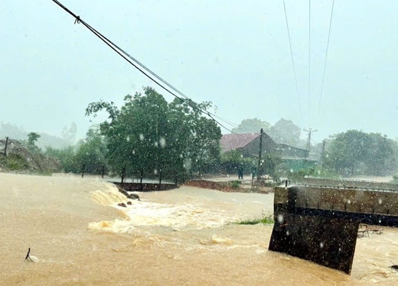 B&atilde;o số 5 quần thảo Nghệ An, đường phố Cửa L&ograve; ngập s&acirc;u, nhiều c&acirc;y xanh g&atilde;y đổ- Ảnh 6.