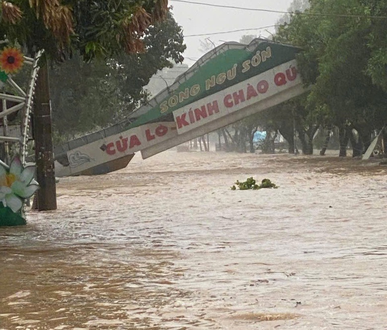 B&atilde;o số 5 quần thảo Nghệ An, đường phố Cửa L&ograve; ngập s&acirc;u, nhiều c&acirc;y xanh g&atilde;y đổ- Ảnh 3.