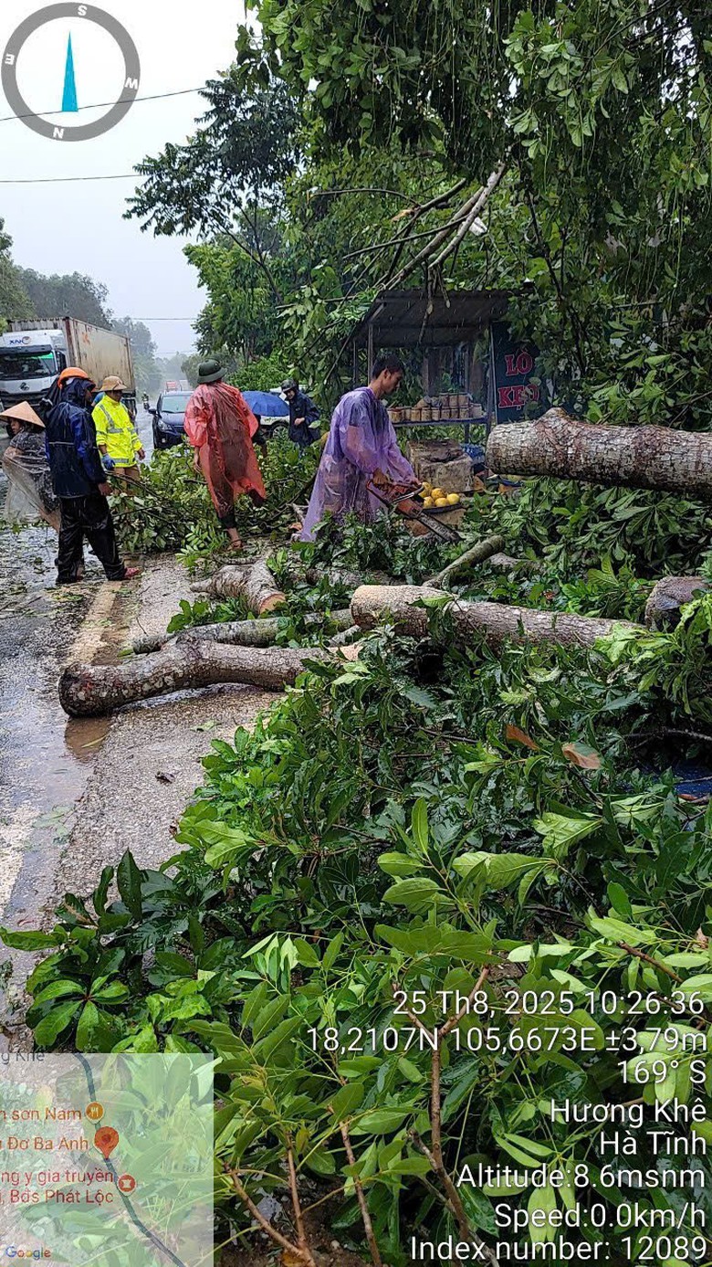 B&atilde;o số 5 quần thảo Nghệ An, đường phố Cửa L&ograve; ngập s&acirc;u, nhiều c&acirc;y xanh g&atilde;y đổ- Ảnh 2.