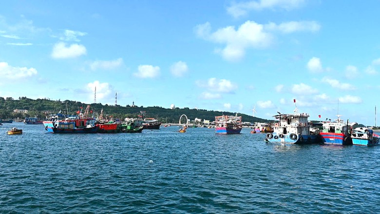 B&atilde;o số 5 quần thảo Nghệ An, đường phố Cửa L&ograve; ngập s&acirc;u, nhiều c&acirc;y xanh g&atilde;y đổ- Ảnh 4.