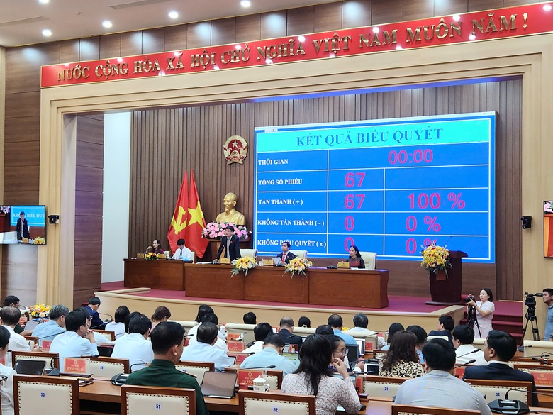 Chuyển mục đ&iacute;ch sử dụng đất rừng để l&agrave;m đường ven biển Dung Quất - Sa Huỳnh- Ảnh 1.