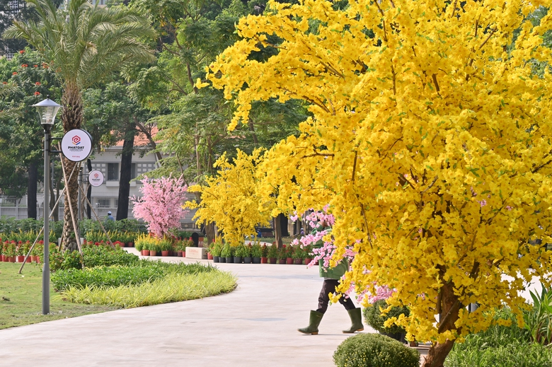 9 khu đất trống ở trung t&acirc;m TP.HCM được chỉnh trang th&agrave;nh vườn hoa đ&oacute;n tết B&iacute;nh Ngọ- Ảnh 1.