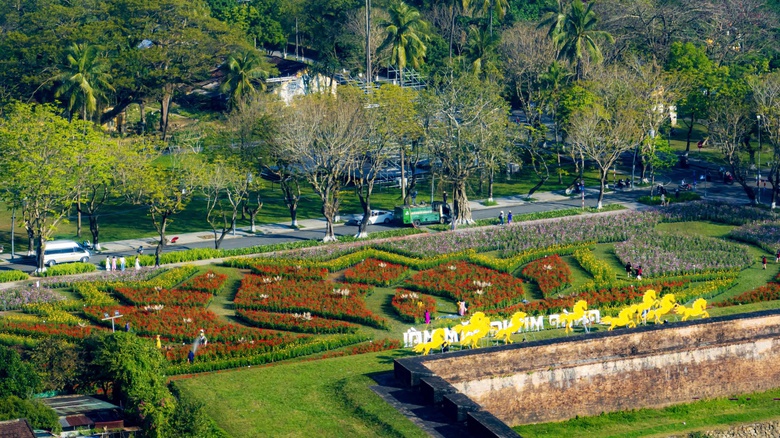 Đo&aacute; hoa sen khổng lồ b&ecirc;n Kinh th&agrave;nh Huế sẵn s&agrave;ng đ&oacute;n tết B&iacute;nh Ngọ 2026- Ảnh 6.