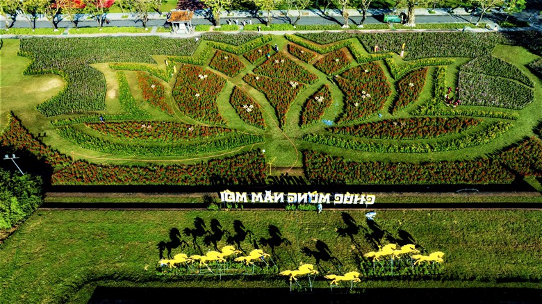 Đo&aacute; hoa sen khổng lồ b&ecirc;n Kinh th&agrave;nh Huế sẵn s&agrave;ng đ&oacute;n tết B&iacute;nh Ngọ 2026- Ảnh 2.