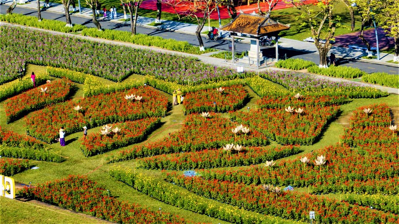 Đo&aacute; hoa sen khổng lồ b&ecirc;n Kinh th&agrave;nh Huế sẵn s&agrave;ng đ&oacute;n tết B&iacute;nh Ngọ 2026- Ảnh 5.