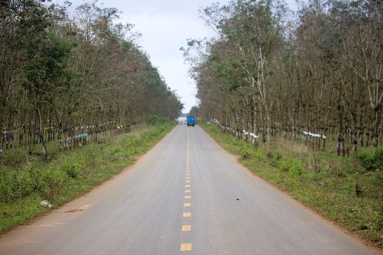 Cận cảnh tuyến đường nối đường Hồ Ch&iacute; Minh với QL9 ở Quảng Trị sau 4 năm triển khai- Ảnh 2.